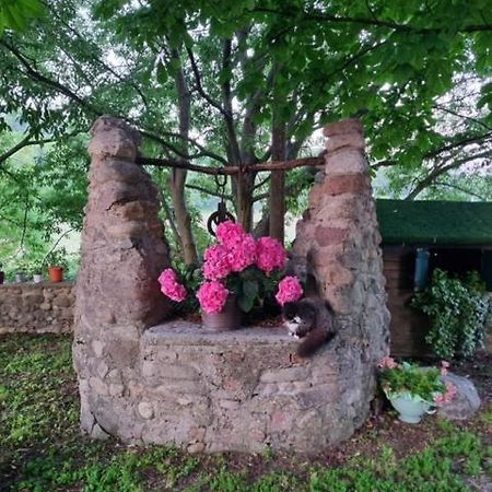 Agriturismo Case In Collina 沃尔塔曼托瓦纳 外观 照片
